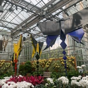 Meet your Posher, Arly